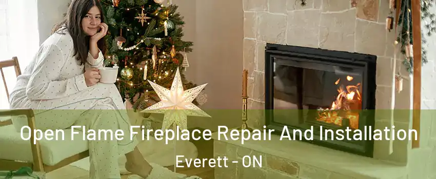  Open Flame Fireplace Repair And Installation Everett - ON