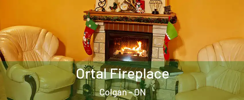 Ortal Fireplace Colgan - ON