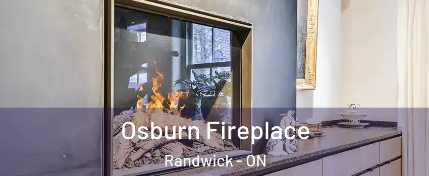  Osburn Fireplace Randwick - ON