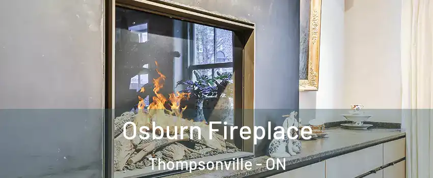  Osburn Fireplace Thompsonville - ON