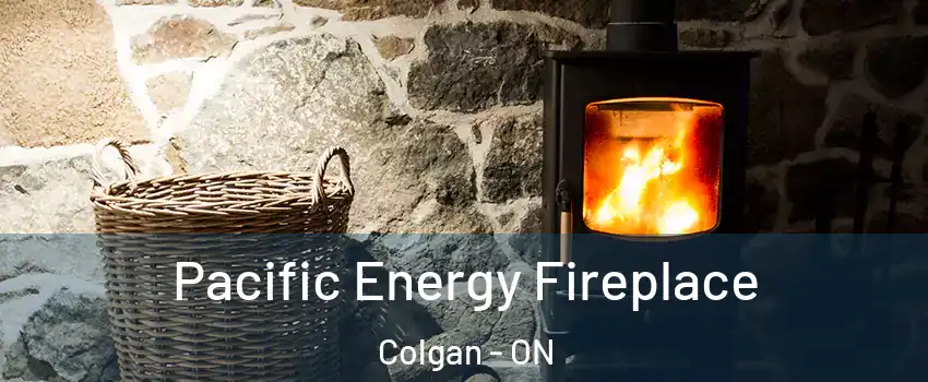 Pacific Energy Fireplace Colgan - ON