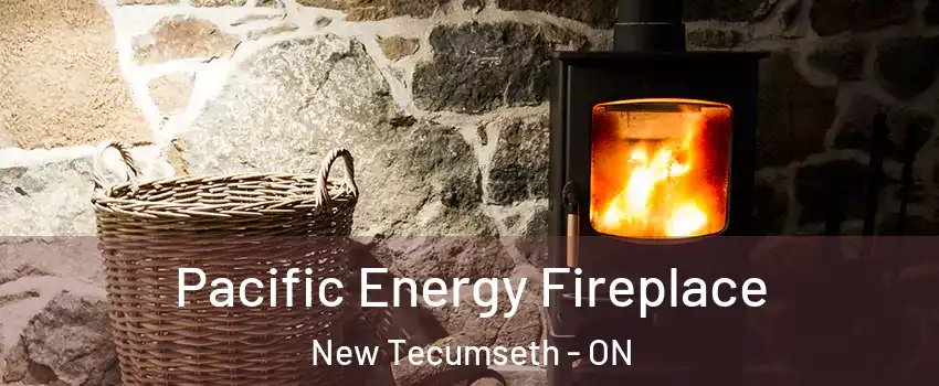  Pacific Energy Fireplace New Tecumseth - ON