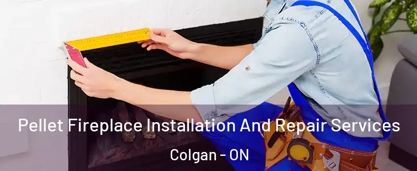  Pellet Fireplace Installation And Repair Services Colgan - ON