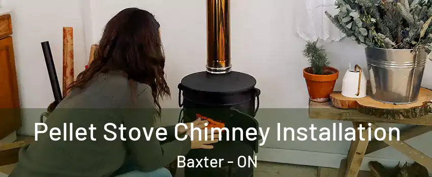  Pellet Stove Chimney Installation Baxter - ON