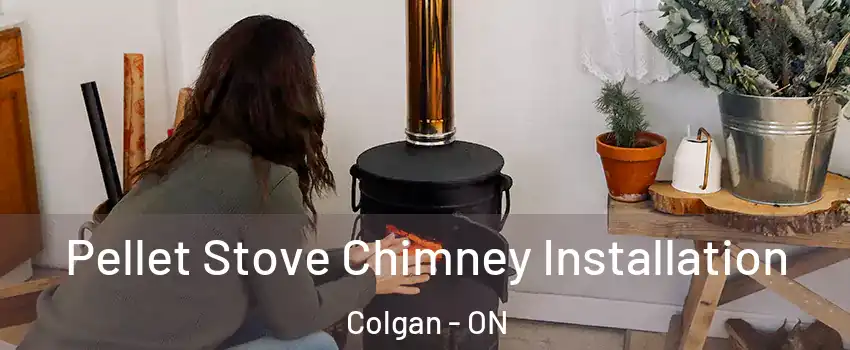  Pellet Stove Chimney Installation Colgan - ON