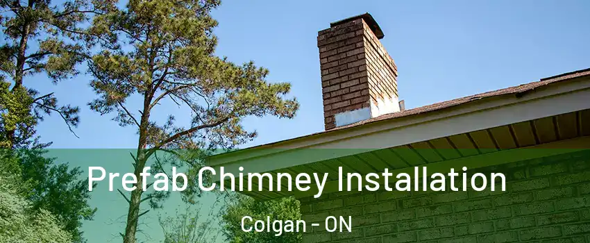  Prefab Chimney Installation Colgan - ON