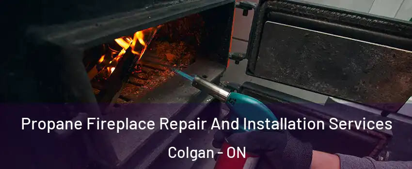 Propane Fireplace Repair And Installation Services Colgan - ON