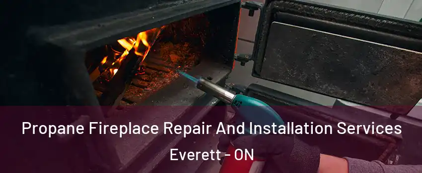 Propane Fireplace Repair And Installation Services Everett - ON