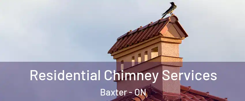  Residential Chimney Services Baxter - ON