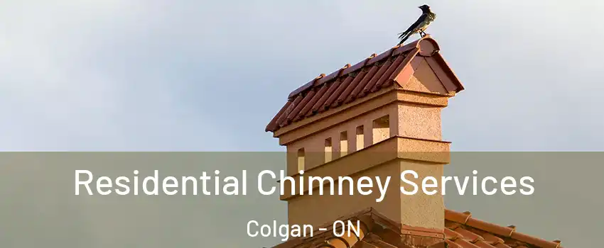  Residential Chimney Services Colgan - ON
