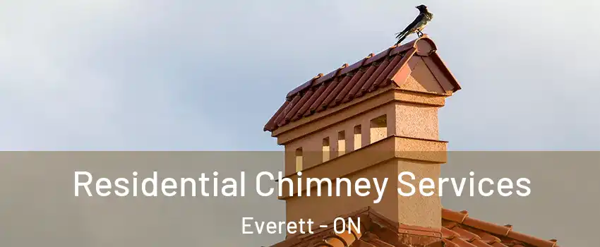  Residential Chimney Services Everett - ON