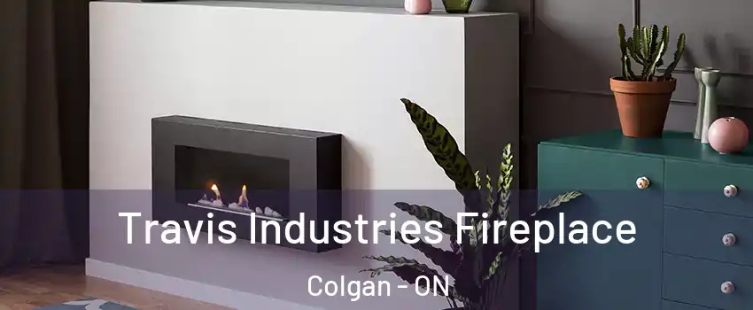  Travis Industries Fireplace Colgan - ON