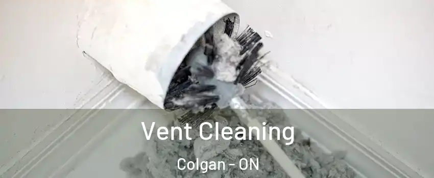 Vent Cleaning Colgan - ON