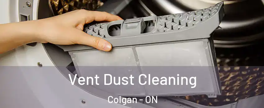  Vent Dust Cleaning Colgan - ON