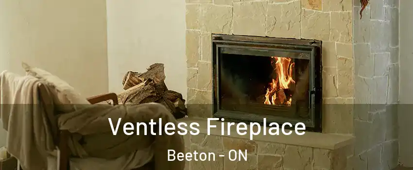  Ventless Fireplace Beeton - ON