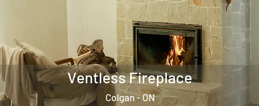  Ventless Fireplace Colgan - ON