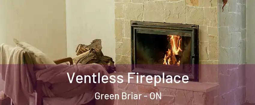  Ventless Fireplace Green Briar - ON