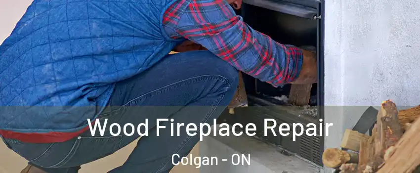  Wood Fireplace Repair Colgan - ON