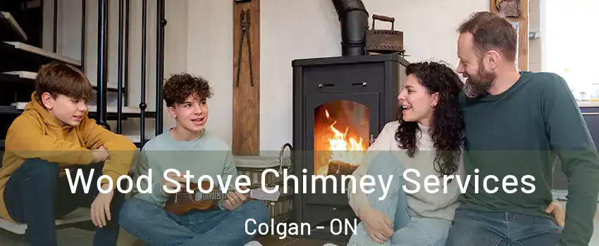  Wood Stove Chimney Services Colgan - ON