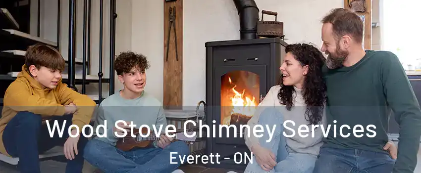  Wood Stove Chimney Services Everett - ON