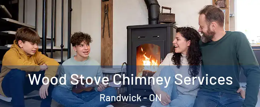 Wood Stove Chimney Services Randwick - ON