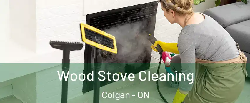 Wood Stove Cleaning Colgan - ON