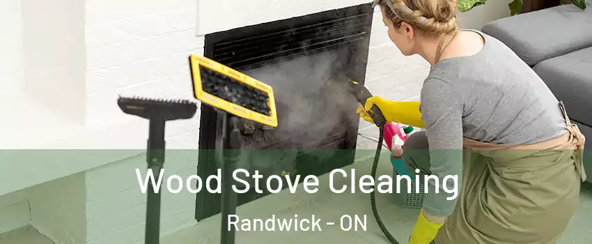  Wood Stove Cleaning Randwick - ON