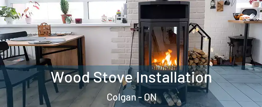  Wood Stove Installation Colgan - ON